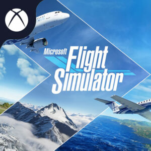 Flight Simulator